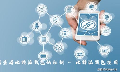 如何查看比特派钱包的私钥 - 比特派钱包使用详解