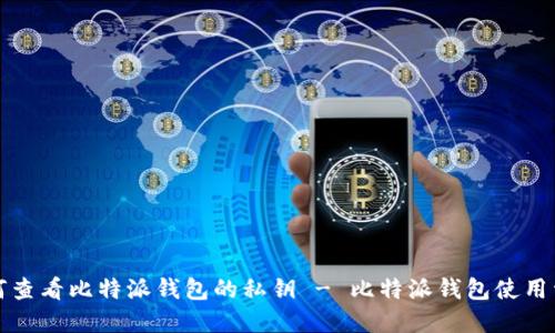 如何查看比特派钱包的私钥 - 比特派钱包使用详解
