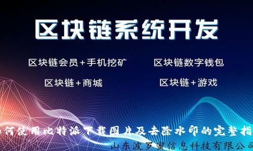 如何使用比特派下载图片及去除水印的完整指南
