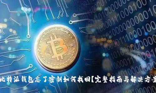 比特派钱包忘了密钥如何找回？完整指南与解决方案