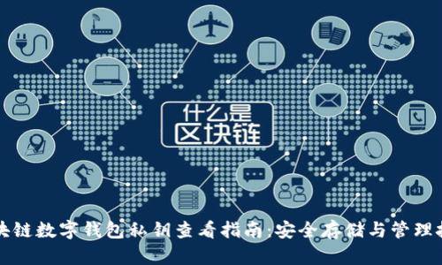 区块链数字钱包私钥查看指南：安全存储与管理技巧