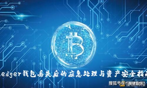 Ledger钱包丢失后的应急处理与资产安全指南