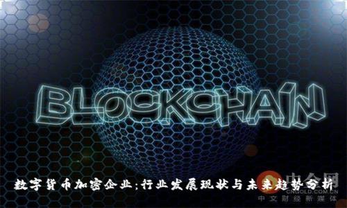 数字货币加密企业：行业发展现状与未来趋势分析