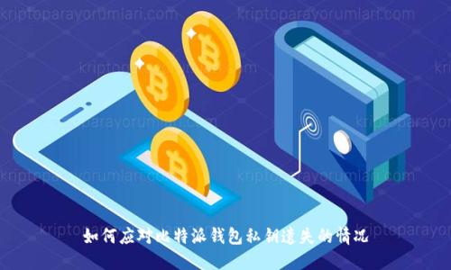 如何应对比特派钱包私钥遗失的情况