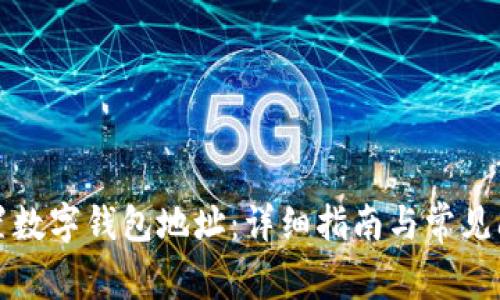如何设置数字钱包地址：详细指南与常见问题解析