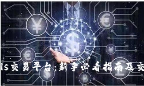 BitBulls交易平台：新手必看指南及交易技巧