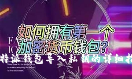 比特派钱包导入私钥的详细指南