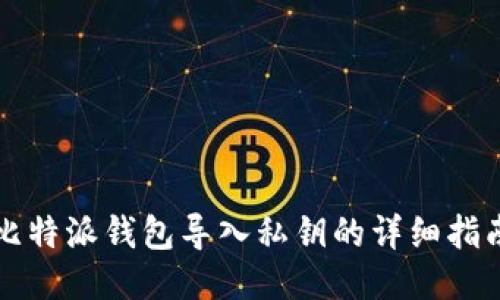 比特派钱包导入私钥的详细指南