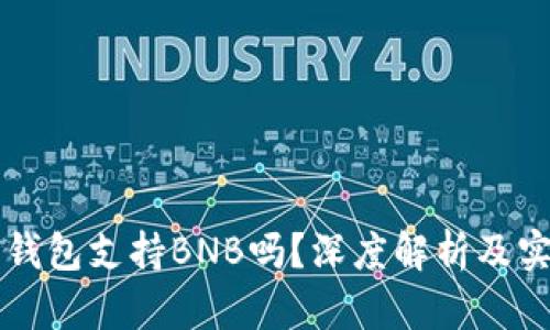 比特派钱包支持BNB吗？深度解析及实用指南