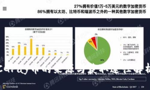 CGPay币的来源与获取途径解析