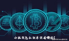   小狐钱包私钥单词有哪些