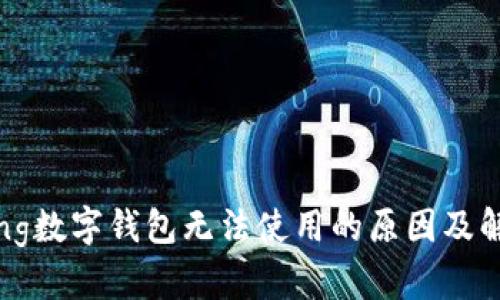 alaqiang数字钱包无法使用的原因及解决方案