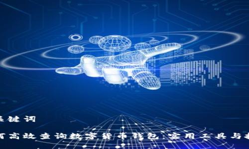 和关键词

如何高效查询数字货币钱包：实用工具与技巧