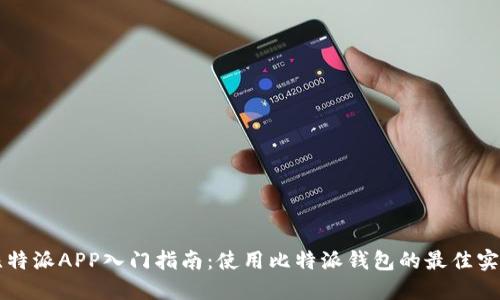 比特派APP入门指南：使用比特派钱包的最佳实践