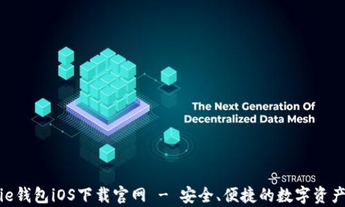 
Bitpie钱包iOS下载官网 - 安全、便捷的数字资产管理