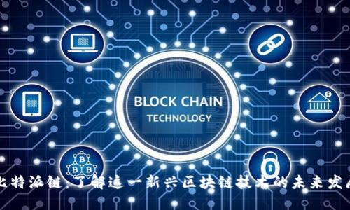 比特派链：了解这一新兴区块链技术的未来发展