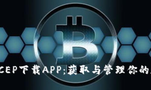 数字货币钱包DCEP下载APP：获取与管理你的数字人民币资产