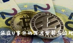 比特派盗U事件的深度分析