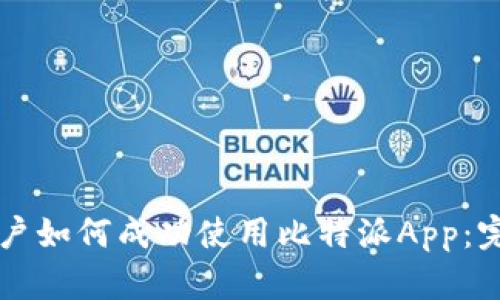 国内用户如何成功使用比特派App：完整指南