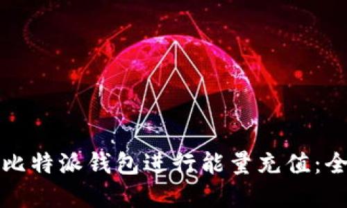 如何在比特派钱包进行能量充值：全面指南