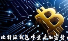 如何在比特派钱包中查看