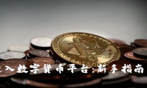 怎样有效进入数字货币平台：新手指南与注意事项