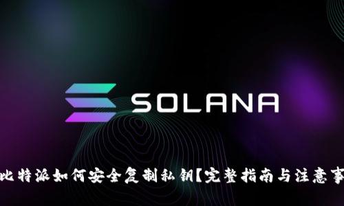 : 比特派如何安全复制私钥？完整指南与注意事项