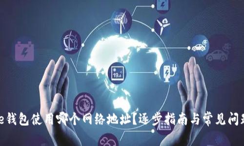 BitPie钱包使用哪个网络地址？逐步指南与常见问题解答