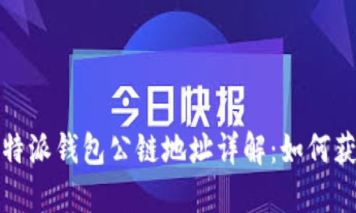 建议的比特派钱包公链地址详解：如何获取与管理