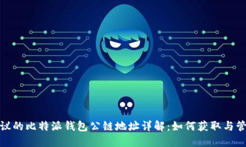 建议的比特派钱包公链地址详解：如何获取与管理
