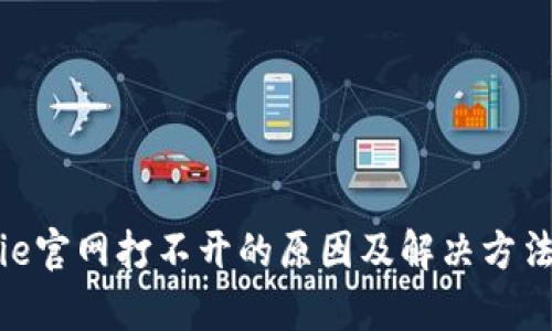 Bitpie官网打不开的原因及解决方法解析