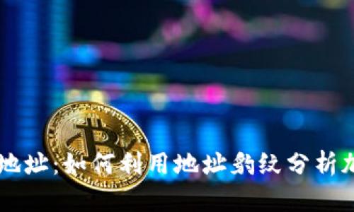 理解比特派地址：如何利用地址豹纹分析加密货币交易