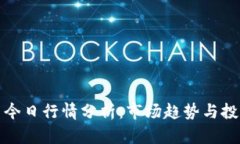 柚子币今日行情分析：市