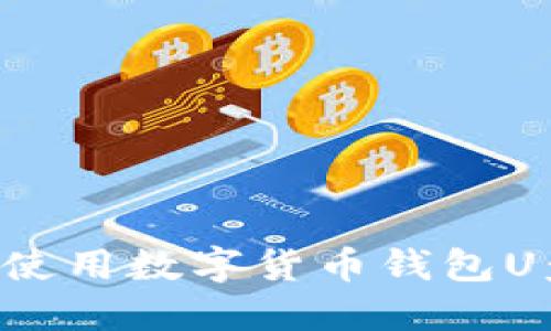 如何选择和使用数字货币钱包U盘：完全指南