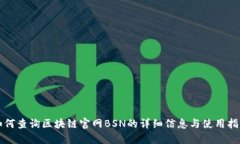 如何查询区块链官网BSN的