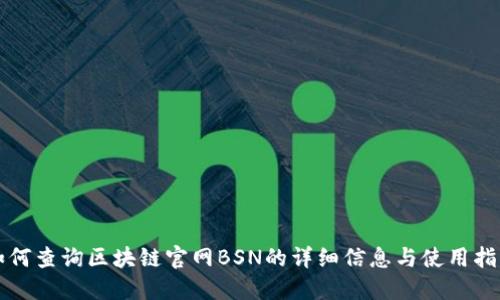 如何查询区块链官网BSN的详细信息与使用指南