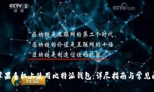 如何在苹果手机上使用比特派钱包：详尽指南与常见问题解答