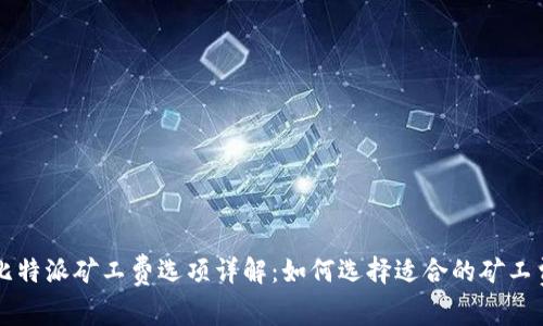 比特派矿工费选项详解：如何选择适合的矿工费