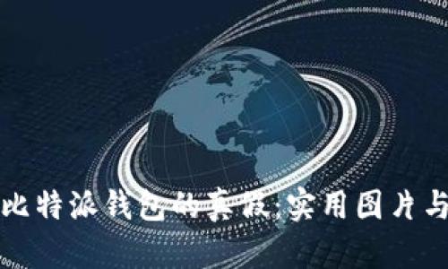 如何辨别比特派钱包的真假：实用图片与视频指南