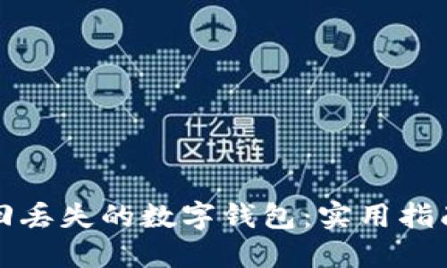 如何找回丢失的数字钱包：实用指南与技巧