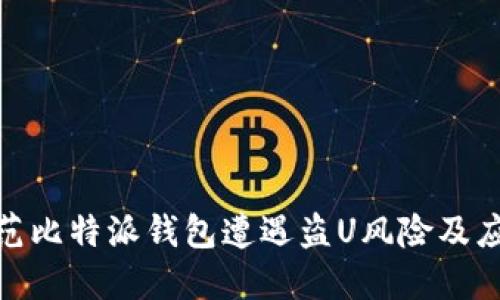 如何防范比特派钱包遭遇盗U风险及应对措施