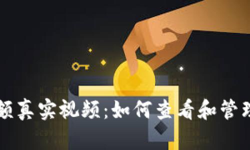 比特派钱包余额真实视频：如何查看和管理您的数字资产