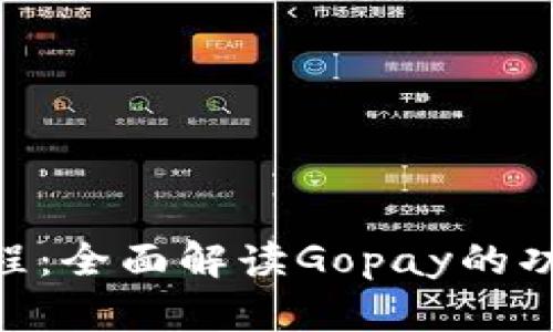 Gopay使用教程：全面解读Gopay的功能与操作指南