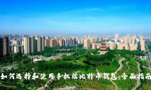 如何选择和使用手机端比特币钱包：全面指南