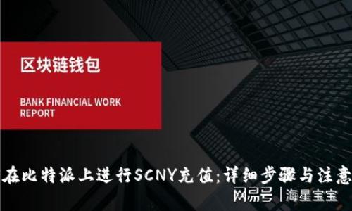 如何在比特派上进行SCNY充值：详细步骤与注意事项