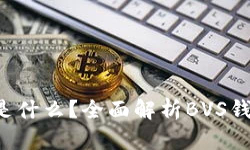数字货币BVS钱包是什么？全面解析BVS钱包的功能与安全性