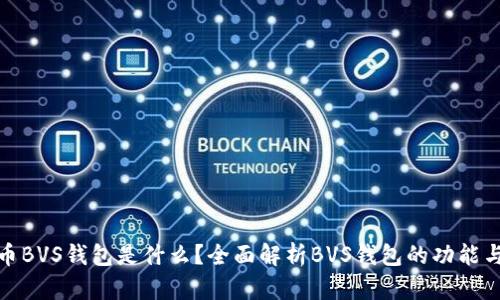 数字货币BVS钱包是什么？全面解析BVS钱包的功能与安全性