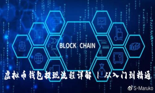 虚拟币钱包提现流程详解 | 从入门到精通