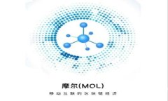 加密钱包E链与T链的区别解