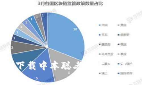 如何安全下载中本聪老版本及其注意事项